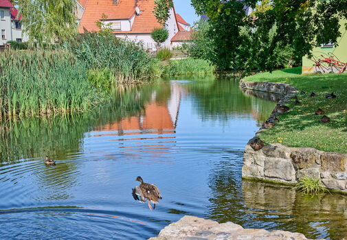 Teich in Großrettbach