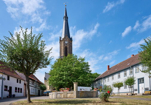 Blick auf die Sankt-Viti-Kirche zu Wechmar.