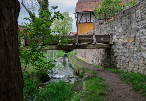 Bachlauf in Mühlberg