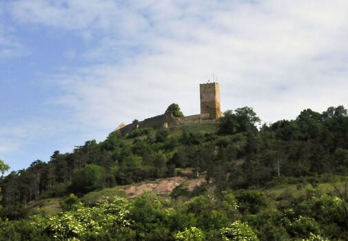Burg Gleichen vom Tal aus - Wandersleben