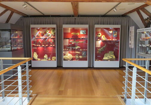 Ausstellungsvitrinen in der Kulturscheune Mühlberg