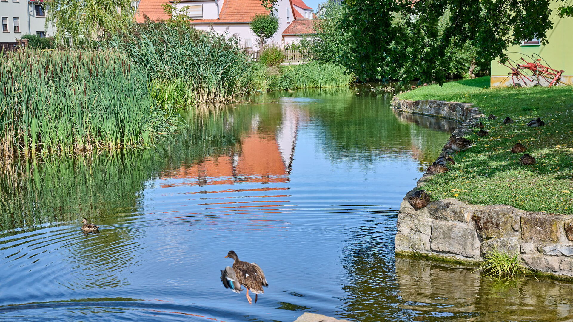 Teich in Großrettbach