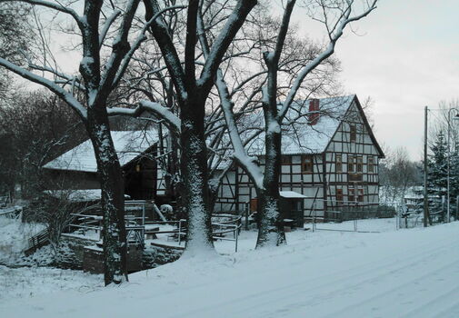 Öl- und Graupenmühle Mühlberg im Winter